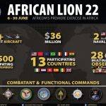 African Lion 22