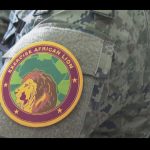 african-lion-22