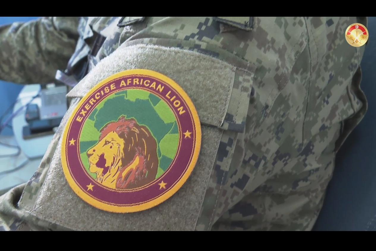 african-lion-22
